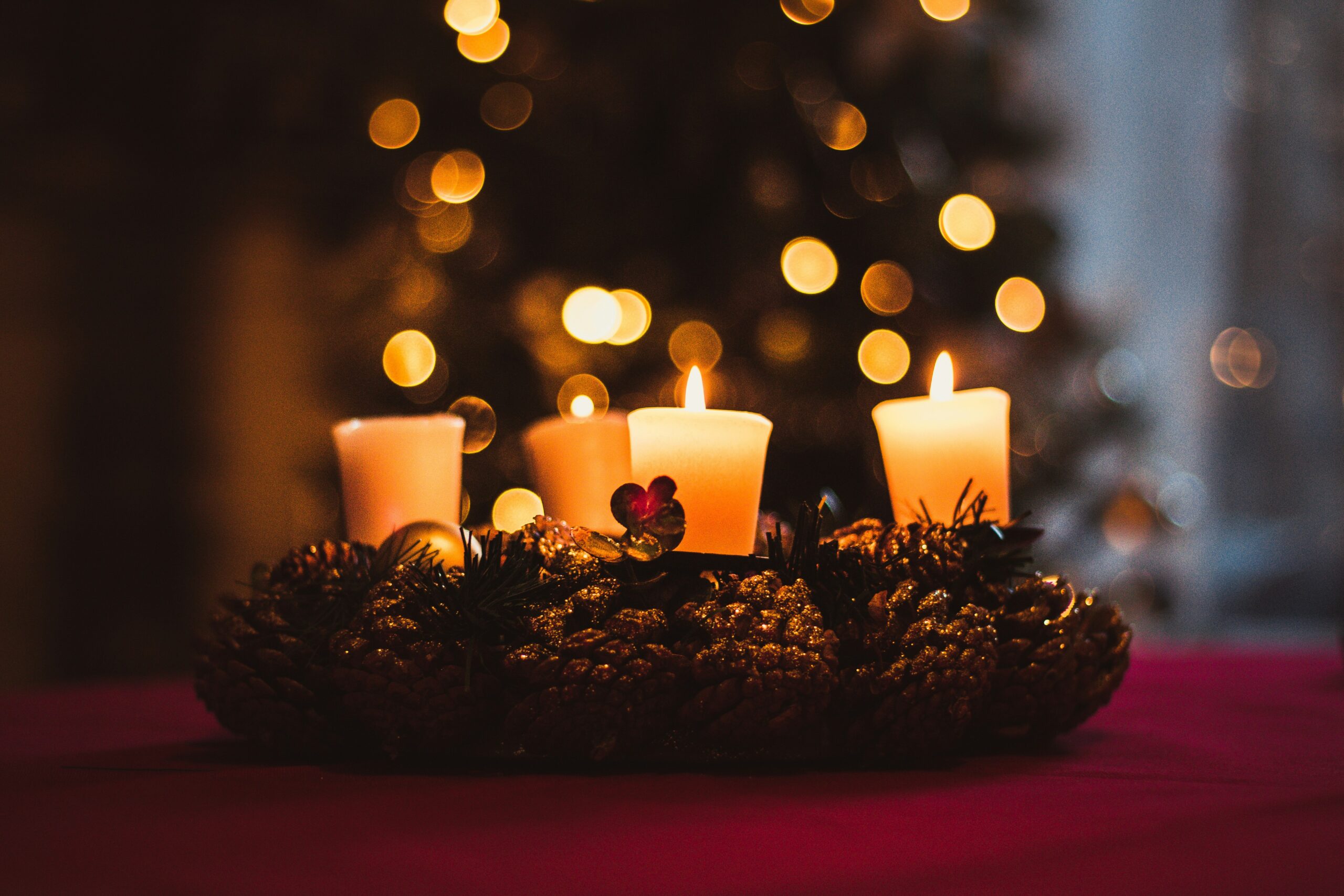 catalin-bot-jZIKZeSjn4A-unsplash